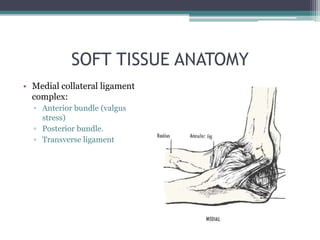 SOFT TISSUE ANATOMY
• Medial collateral ligament
complex:
▫ Anterior bundle (valgus
stress)
▫ Posterior bundle.
▫ Transverse ligament
 