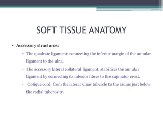 SOFT TISSUE ANATOMY
• Accessory structures:
 The quadrate ligament: connecting the inferior margin of the annular
ligament to the ulna.
 The accessory lateral collateral ligament: stabilizes the annular
ligament by connecting its inferior fibres to the supinator crest.
 Oblique cord: from the lateral ulnar tubercle to the radius just below
the radial tuberosity.
 
