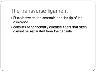 The transverse ligament
 Runs between the coronoid and the tip of the
olecranon
 consists of horizontally oriented fibers that often
cannot be separated from the capsule
 