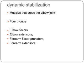 dynamic stabilization
 Muscles that cross the elbow joint
 Four groups
 Elbow flexors,
 Elbow extensors,
 Forearm flexor-pronators,
 Forearm extensors.
 