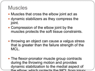 Muscles
 Muscles that cross the elbow joint act as
 dynamic stabilizers as they compress the
joint.
 Compression of the elbow joint by the
muscles protects the soft tissue constraints.
 throwing an object can cause a valgus stress
that is greater than the failure strength of the
MCL.
 The flexor-pronator muscle group contracts
during the throwing motion and provides
dynamic stabilization to the medial aspect of
 