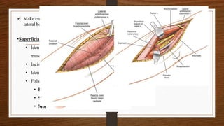 ELBOW Orthopedic Surgical Approaches | PPTX