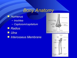 Comprehensive Elbow and Forearm Athletic Injury Assessment and ...