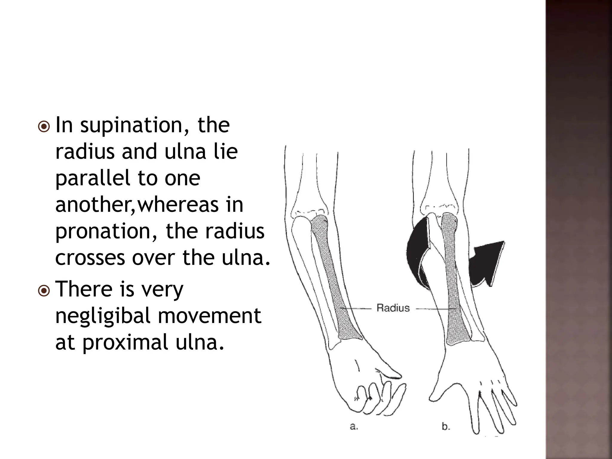 elbow biomechanics.pptx