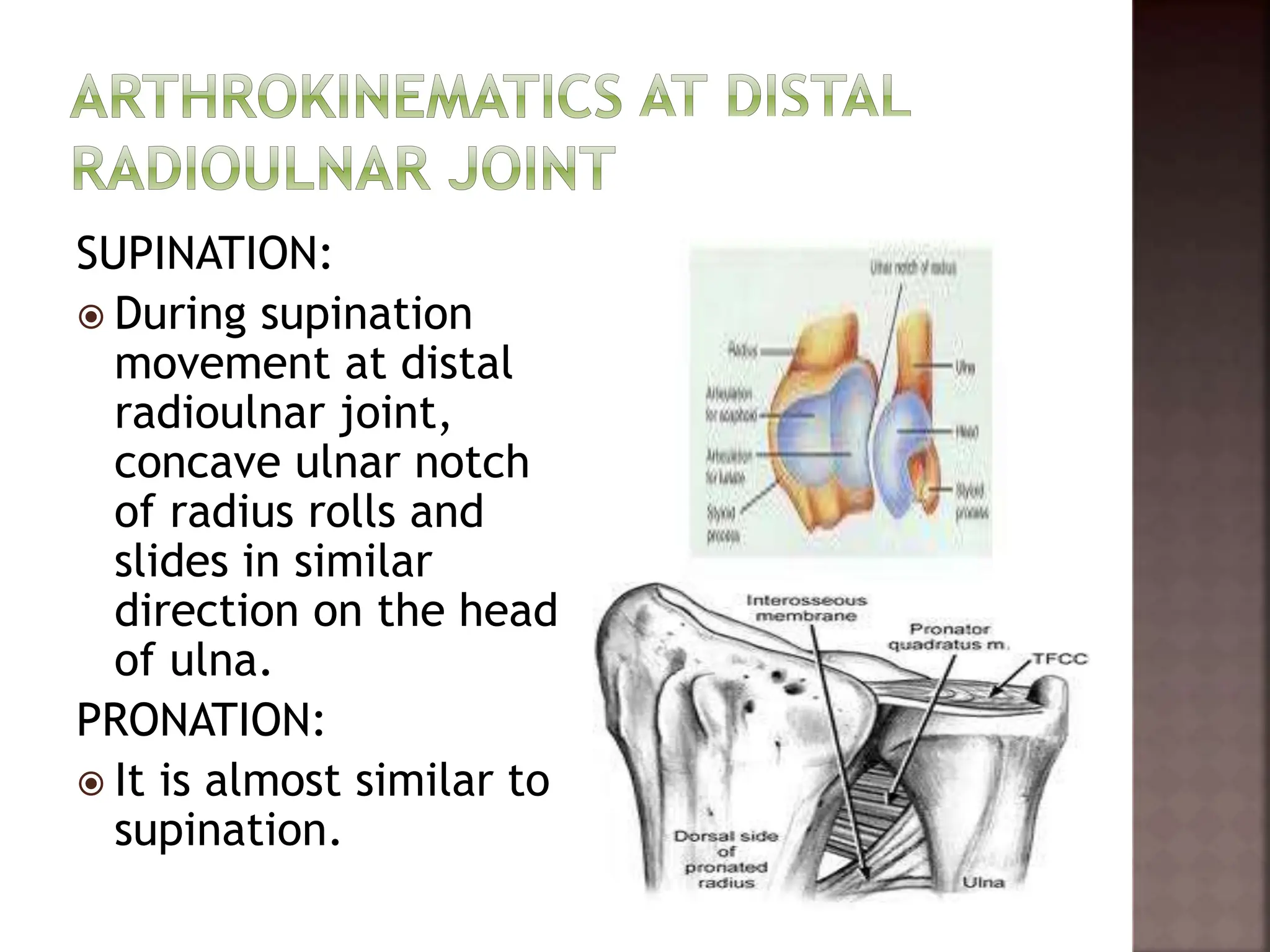 elbow biomechanics.pptx