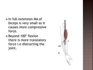  In full extension MA of
biceps is very small so it
causes more compressive
force.
 Beyond 100* flexion
there is more translatory
force i.e distracting the
joint.
 