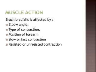 Brachioradialis is affected by :
 Elbow angle,
 Type of contraction,
 Position of forearm
 Slow or fast contraction
 Resisted or unresisted contraction
 