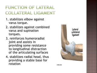 1. stabilizes elbow against
varus torque.
2. stabilizes against combined
varus and supination
torques.
3. reinforces humeroradial
joint and assists in
providing some resistance
to longitudinal distraction
of the articulating surfaces
4. stabilizes radial head, thus
providing a stable base for
rotation
 