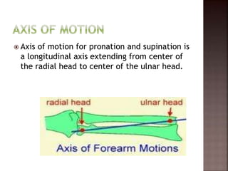  Axis of motion for pronation and supination is
a longitudinal axis extending from center of
the radial head to center of the ulnar head.
 