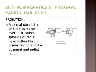 PRONATION:
 Proximal ulna is fix,
and radius moves
over it. It causes
spinning of radial
head within fibro-
osseus ring of annular
ligament and radial
notch.
 