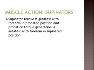  Supinator torque is greatest with
forearm in pronated position and
pronation torque generation is
greatesr with forearm in supinated
position.
 