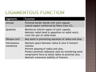 Ligaments Function
Annular Proximal border blends with joint capsule
Lateral aspect reinforced by fibers from LCL.
Quadrate Reinforces inferior aspect of joint capsule,
Maintain radial head in apposition to radial notch,
Limit the spin of radial head.
Oblique cord May assist in preventing sepration of radius and ulna.
Interosseous
membrane
Miantain space between radius & ulna in forearm
rotation
Prevent splaying of radius and ulna,
Protect proximal radioulnar joint by transfering some
compressive force at distal radius to proximal ulna.
Maintain transverse stability of forearm.
 