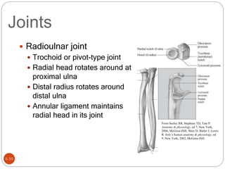 BIOMECHANICS OF ELBOW COMPLEX | PPTX