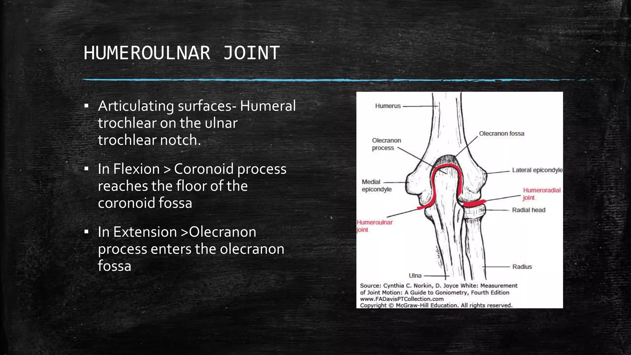 HUMEROULNAR JOINT
▪ Articulating surfaces- Humeral
trochlear on the ulnar
trochlear notch.
▪ In Flexion > Coronoid process
reaches the floor of the
coronoid fossa
▪ In Extension >Olecranon
process enters the olecranon
fossa
 