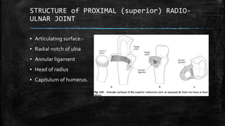 Biomechanics of Elbow complex | PPTX