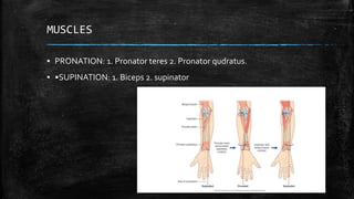 Biomechanics of Elbow complex | PPTX