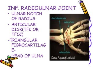 INF. RADIOULNAR JOINT
• ULNAR NOTCH
OF RADIUS
• ARTICULAR
DISK(TFC OR
TFCC)
-TRIANGULAR
FIBROCARTILAG
E-
• HEAD OF ULNA
 