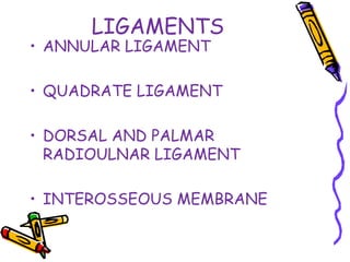 LIGAMENTS
• ANNULAR LIGAMENT
• QUADRATE LIGAMENT
• DORSAL AND PALMAR
RADIOULNAR LIGAMENT
• INTEROSSEOUS MEMBRANE
 