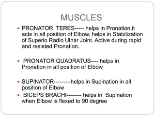 Elbow Complex .ppt