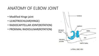 ANATOMY OF ELBOW JOINT
• Modified Hinge joint
• ULNOTROCHLEAR(HINGE)
• RADIOCAPITELLAR JOINT(ROTATION)
• PROXIMAL RADIOULNAR(ROTATION)
 