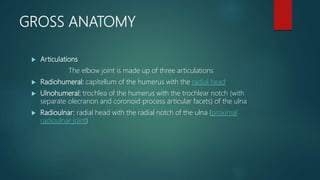 GROSS ANATOMY
 Articulations
The elbow joint is made up of three articulations
 Radiohumeral: capitellum of the humerus with the radial head
 Ulnohumeral: trochlea of the humerus with the trochlear notch (with
separate olecranon and coronoid process articular facets) of the ulna
 Radioulnar: radial head with the radial notch of the ulna (proximal
radioulnar joint)
 