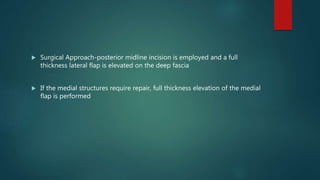  Surgical Approach-posterior midline incision is employed and a full
thickness lateral flap is elevated on the deep fascia
 If the medial structures require repair, full thickness elevation of the medial
flap is performed
 