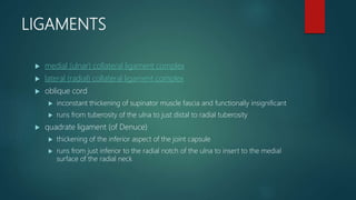 LIGAMENTS
 medial (ulnar) collateral ligament complex
 lateral (radial) collateral ligament complex
 oblique cord
 inconstant thickening of supinator muscle fascia and functionally insignificant
 runs from tuberosity of the ulna to just distal to radial tuberosity
 quadrate ligament (of Denuce)
 thickening of the inferior aspect of the joint capsule
 runs from just inferior to the radial notch of the ulna to insert to the medial
surface of the radial neck
 