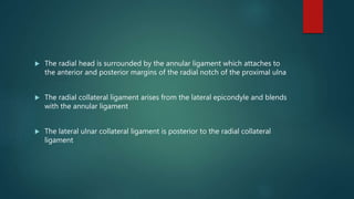  The radial head is surrounded by the annular ligament which attaches to
the anterior and posterior margins of the radial notch of the proximal ulna
 The radial collateral ligament arises from the lateral epicondyle and blends
with the annular ligament
 The lateral ulnar collateral ligament is posterior to the radial collateral
ligament
 