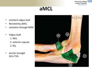 aMCL
• constant valgus load
• Resisted by aMCL
• isometric through ROM
• Valgus load
1. MCL
2. anterior capsule
3. RCj
• tensile strength
261+71N
 