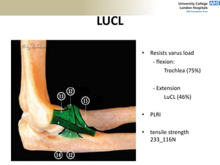 LUCL
• Resists varus load
- flexion:
Trochlea (75%)
- Extension
LuCL (46%)
• PLRI
• tensile strength
233_116N
 