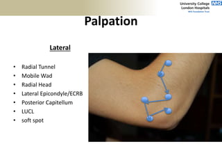 Palpation
Lateral
• Radial Tunnel
• Mobile Wad
• Radial Head
• Lateral Epicondyle/ECRB
• Posterior Capitellum
• LUCL
• soft spot
 