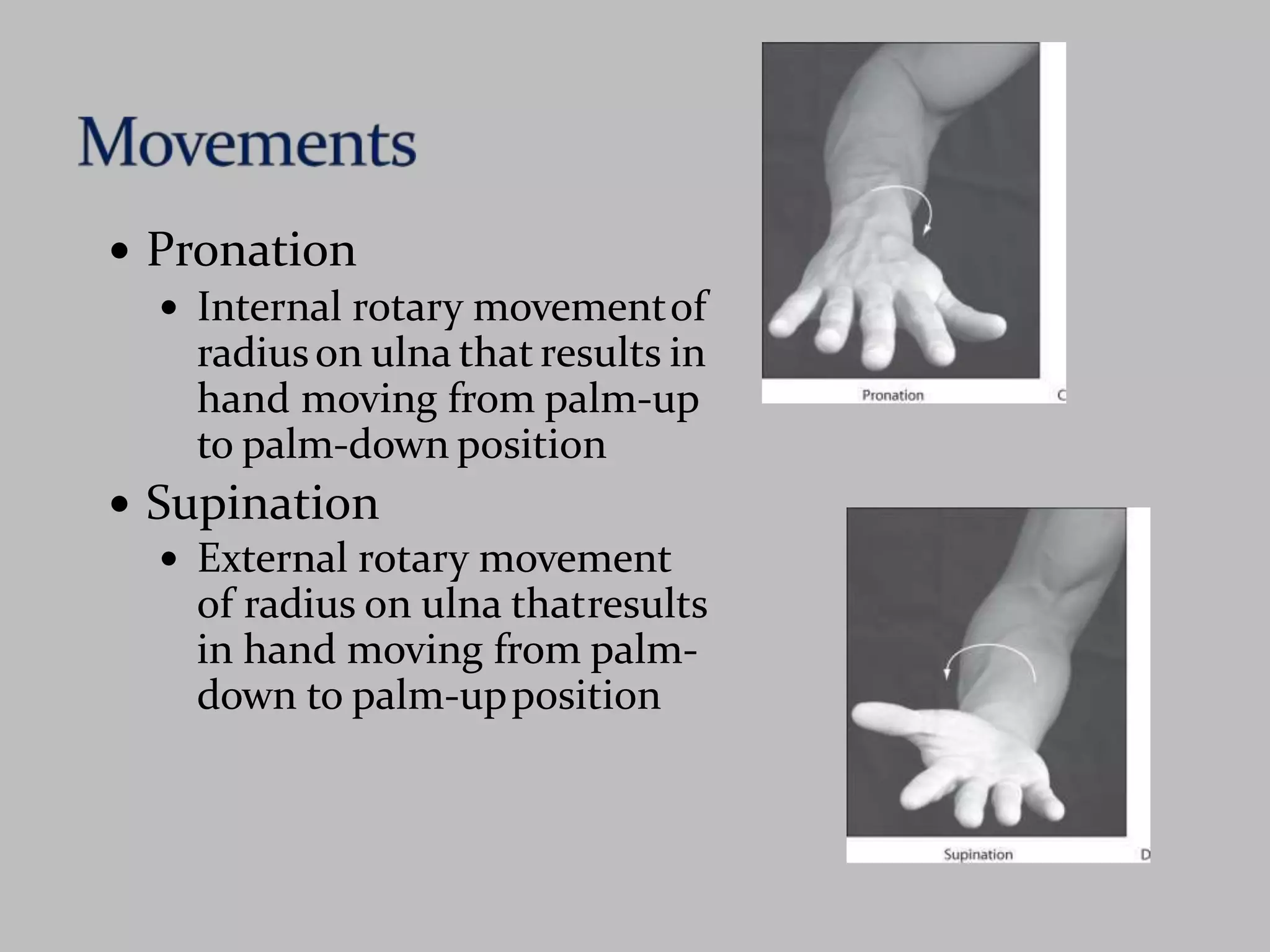  Pronation
 Internal rotary movementof
radiuson ulna that results in
hand moving from palm-up
to palm-down position
 Supination
 External rotary movement
of radius on ulna thatresults
in hand moving from palm-
down to palm-upposition
 