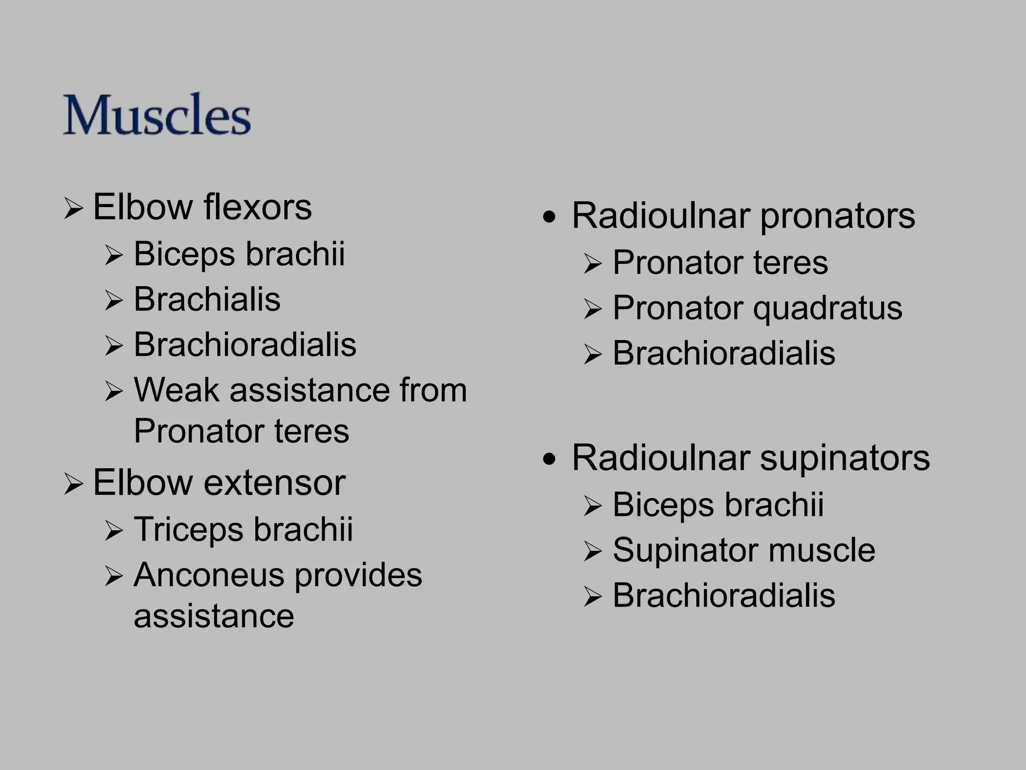 Elbow flexors
 Biceps brachii
 Brachialis
 Brachioradialis
 Weak assistance from
Pronator teres
 Elbow extensor
 Triceps brachii
 Anconeus provides
assistance
 Radioulnar pronators
 Pronator teres
 Pronator quadratus
 Brachioradialis
 Radioulnar supinators
 Biceps brachii
 Supinator muscle
 Brachioradialis
 