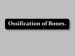 Ossification of Bones.
 