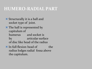 HUMERO-RADIAL PART
 Structurally it is a ball and
socket type of joint.
 The ball is represented by
capitulum of
humerus and socket is
by articular surface
of disc like head of the radius
 In full flexion head of the
radius lodges radial fossa above
the capitulum.
 