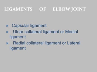 LIGAMENTS OF ELBOW JOINT
 Capsular ligament
 Ulnar collateral ligament or Medial
ligament
 Radial collateral ligament or Lateral
ligament
 