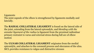 Ligaments
The joint capsule of the elbow is strengthened by ligaments medially and
laterally.
The RADIAL COLLATERAL LIGAMENT is found on the lateral side of
the joint, extending from the lateral epicondyle, and blending with the
annular ligament of the radius (a ligament from the proximal radioulnar
primary restraint to varus and external stress during full arc of elbow
motion
The ULNAR COLLATERAL LIGAMENT originates from the medial
epicondyle, and attaches to the coronoid process and olecranon of the ulna.
MCL provides resistance to valgus and distractive stresses
 