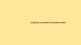 SURFACE ANATOMY OF ELBOW JOINT
 