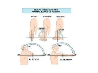 Elbow_Lecture 4.ppt