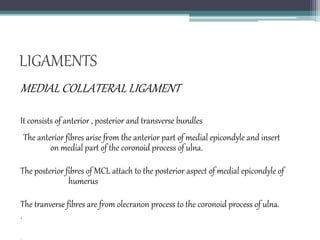 LIGAMENTS
MEDIAL COLLATERAL LIGAMENT
It consists of anterior , posterior and transverse bundles.
The anterior fibres arise from the anterior part of medial epicondyle and insert
on medial part of the coronoid process of ulna.
The posterior fibres of MCL attach to the posterior aspect of medial epicondyle of
humerus
The tranverse fibres are from olecranon process to the coronoid process of ulna.
.
 