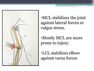 •MCL stabilizes the joint
against lateral forces or
valgus stress.
•Mostly MCL are more
prone to injury.
•LCL stabilizes elbow
against varus forces.
 