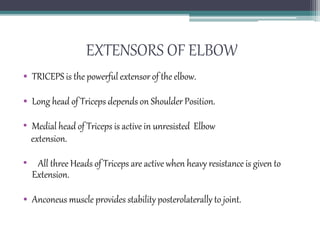 EXTENSORS OF ELBOW
• TRICEPS is the powerful extensor of the elbow.
• Long head of Triceps depends on Shoulder Position.
• Medial head of Triceps is active in unresisted Elbow
extension.
• All three Heads of Triceps are active when heavy resistance is given to
Extension.
• Anconeus muscle provides stability posterolaterally to joint.
 