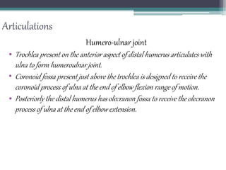 Articulations
Humero-ulnar joint
• Trochlea present on the anterior aspect of distal humerus articulates with
ulna to form humeroulnar joint.
• Coronoid fossa present just above the trochlea is designed to receive the
coronoid process of ulna at the end of elbow flexion range of motion.
• Posteriorly the distal humerus has olecranon fossa to receive the olecranon
process of ulna at the end of elbow extension.
 