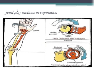 Joint play motions in supination
 