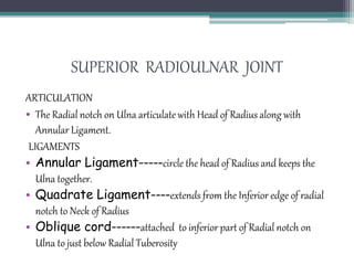 SUPERIOR RADIOULNAR JOINT
ARTICULATION
• The Radial notch on Ulna articulate with Head of Radius along with
Annular Ligament.
LIGAMENTS
• Annular Ligament-----circle the head of Radius and keeps the
Ulna together.
• Quadrate Ligament----extends from the Inferior edge of radial
notch to Neck of Radius
• Oblique cord------attached to inferior part of Radial notch on
Ulna to just below Radial Tuberosity
 