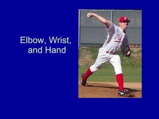 Elbow, Wrist,  and Hand 