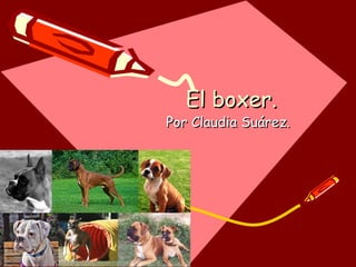 El boxer.

Por Claudia Suárez.

 