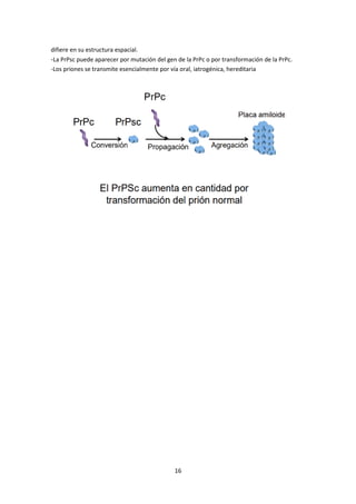 16
difiere en su estructura espacial.
-La PrPsc puede aparecer por mutación del gen de la PrPc o por transformación de la ...