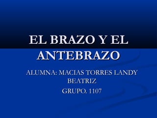 EL BRAZO Y ELEL BRAZO Y EL
ANTEBRAZOANTEBRAZO
ALUMNA: MACIAS TORRES LANDYALUMNA: MACIAS TORRES LANDY
BEATRIZBEATRIZ
GRUPO. 1107GRUPO. 1107
 