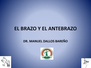 EL BRAZO Y EL ANTEBRAZO
DR. MANUEL DALLOS BAREÑO
 